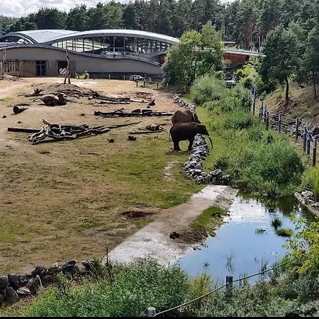 Czytelnia - Parking Gratis