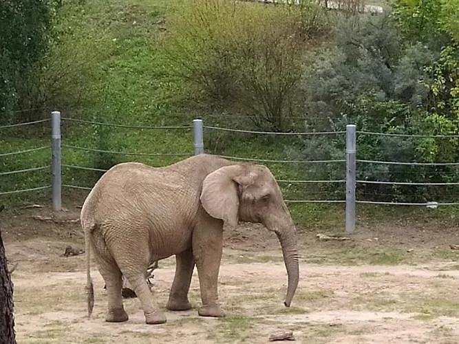 Czytelnia - Parking Gratis Poznaň