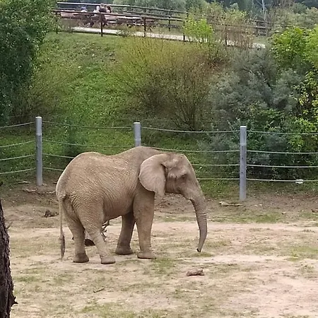 Czytelnia - Parking Gratis Poznan