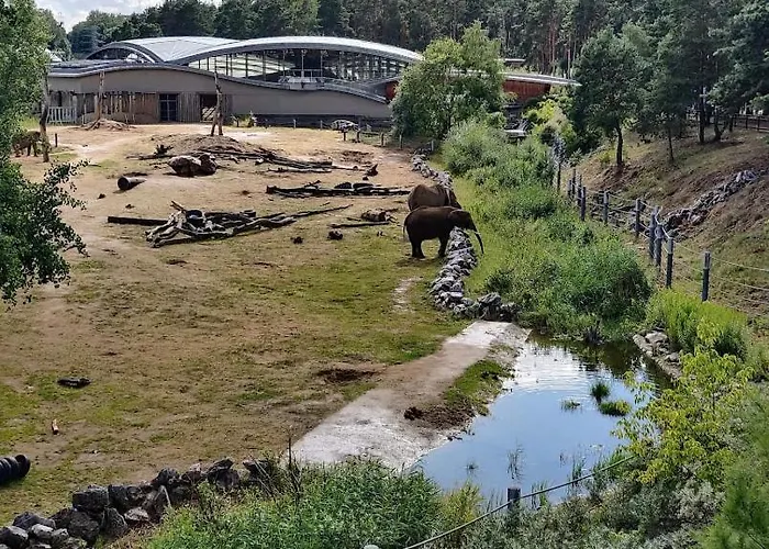 Czytelnia - Parking Gratis